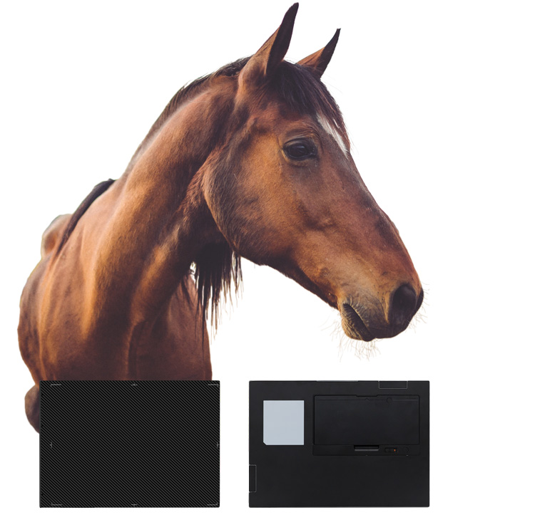 G4 Acuity DR 1013 Equine Veterinary X-Ray Solution