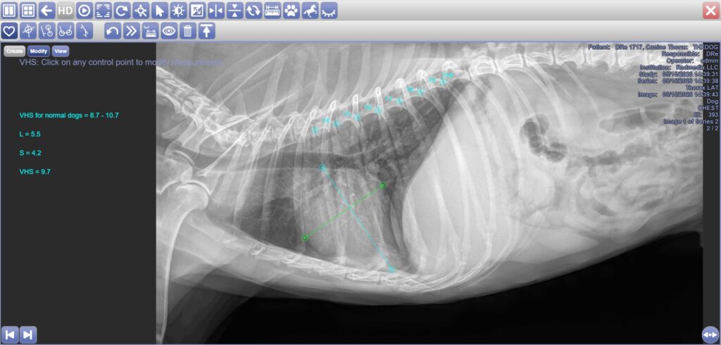 AccuVueCloud VHS Veterinary Tool Cloud PACS